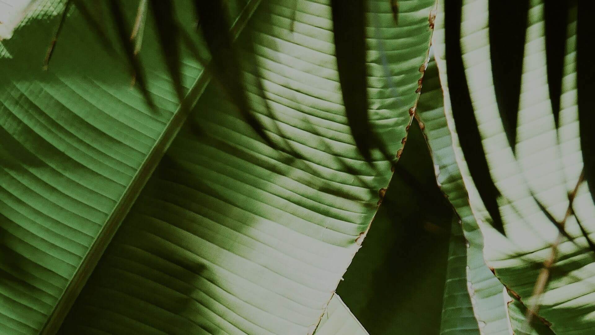 SUSTAINABILITY