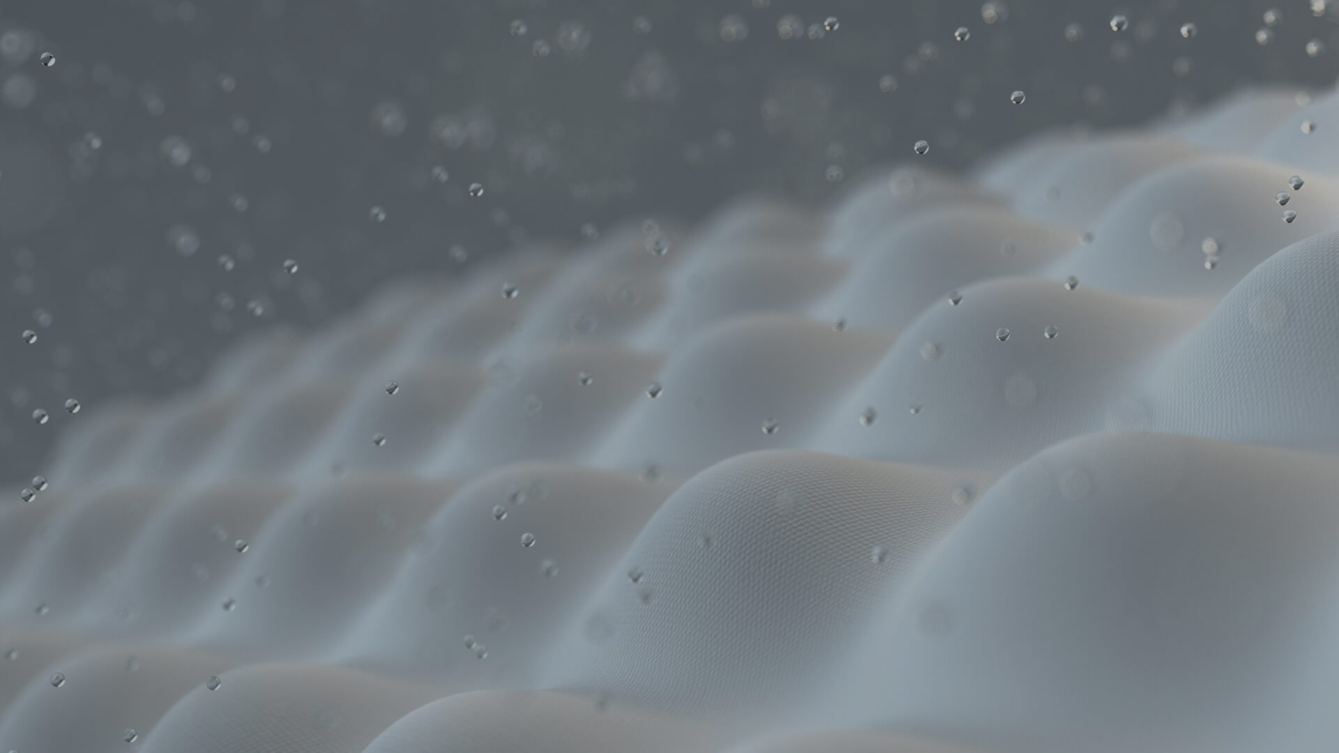 TEXTILE
INNOVATION